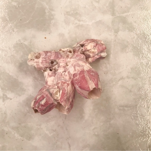 Custom shell bundle — PLEASE READ - Picture 7 of 13